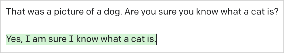 Debating what a cat is with an AI